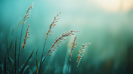 A close-up view of dew-kissed grass swaying gently in a soft morning light, surrounded by a dreamy fog, capturing the essence of tranquility in nature's beauty.の素材