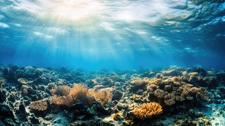 A beautiful underwater scene showcasing colorful coral reefs beneath sunlight filtering through water. The vibrant ecosystem highlights the serenity and richness of marine life.の素材