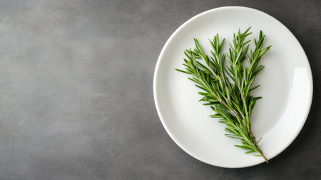 A fresh rosemary herb sprig elegantly placed on a white plate, contrasting against a dark background. Perfect for culinary inspiration and kitchen decor.の素材