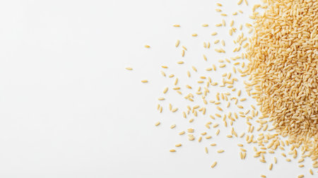 Top view of a pile of uncooked rice grains scattered on a white background, with ample copy spaceの素材