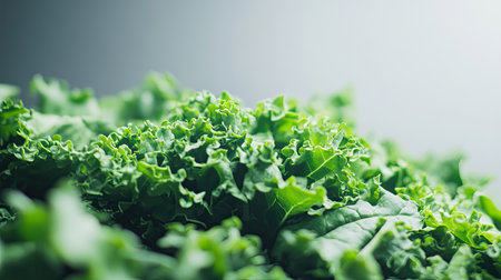 A close-up of fresh leafy greens on a plain background with ample space for text.の素材