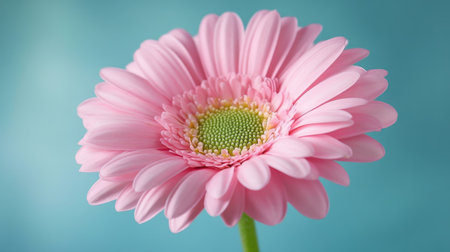 Close-up of a pink flower with a vibrant green stem, showcasing its delicate petals and fresh appearance.の素材