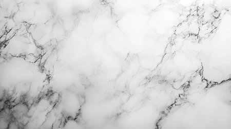 Elegant marble background with delicate veining in shades of gray and whiteの素材