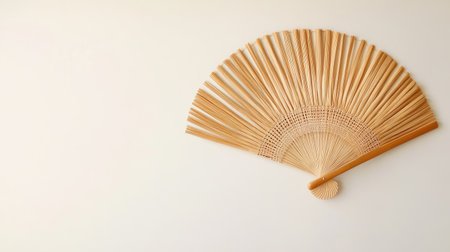 fan made from woven date palm fronds. Copy spaceの素材