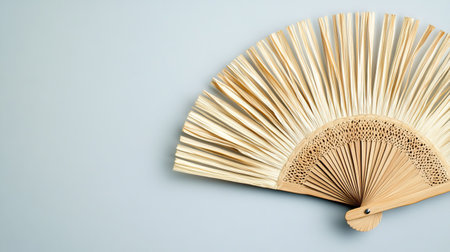 fan made from woven date palm fronds. Copy spaceの素材
