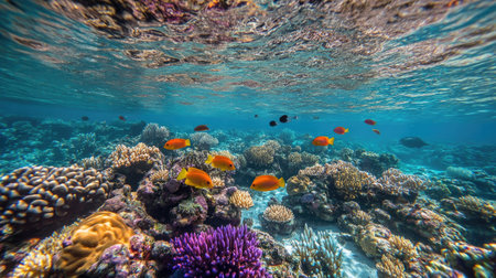 A colorful underwater ocean world teeming with coral reefs, tropical fish, and vibrant marine life. Copy space included.の素材
