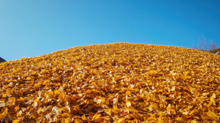 Golden autumn leaves blanketing mountain slopes with a clear blue sky aboveの素材