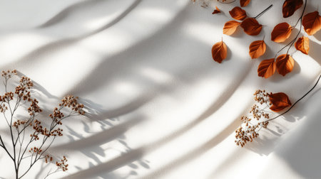 Minimalist autumn abstract design with natural textures and soft hues on a white surface, perfect for modern seasonal visualsの素材