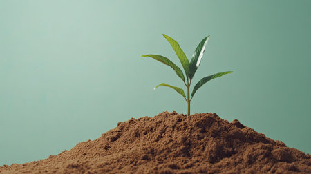 A vibrant green plant emerges from rich brown soil, symbolizing growth and renewal. This minimalist image evokes ideas of nature, sustainability, and hope.の素材