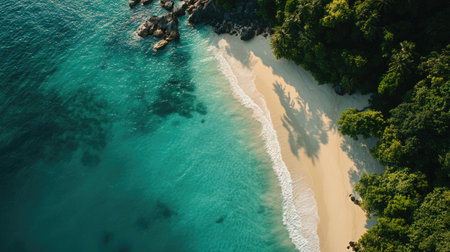 Explore a stunning aerial view of a tranquil tropical beach featuring crystal clear water and soft sandy shores, perfect for relaxation and escape.の素材