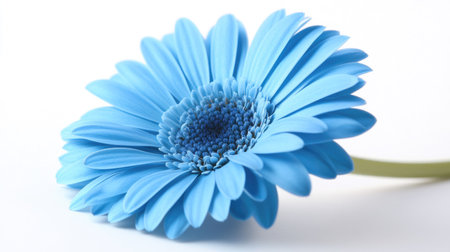 A stunning blue flower bloom displayed against a white background, showcasing its intricate petals and delicate beauty. Perfect for nature-themed designs.の素材