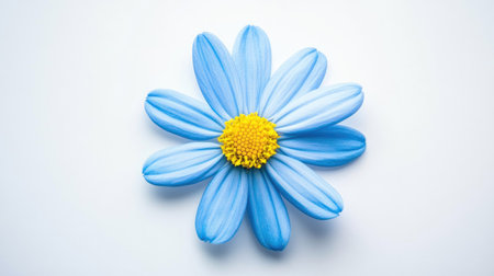 A stunning blue flower with delicate petals sits gracefully on a soft white background, perfect for showcasing nature's beauty and tranquility.の素材