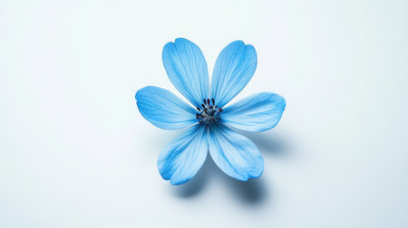 This image features a stunning blue flower carefully placed on a white background, showcasing its delicate petals and vibrant color, perfect for nature-themed projects.の素材