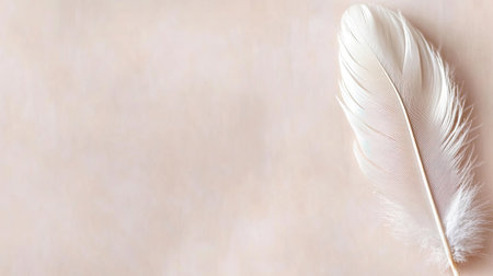 This image features a delicate white feather resting on a soft, neutral background. It embodies minimalist design, elegance, and tranquility, perfect for soothing artwork.の素材
