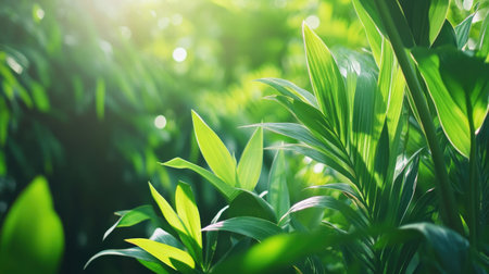 A stunning close-up of vibrant green leaves illuminated by soft sunlight, showcasing the beauty of nature in a peaceful tropical environment.の素材