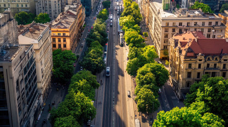 This captivating aerial view showcases a bustling urban street lined with lush greenery. The vibrant city scene exhibits a mix of architecture and nature, offering a refreshing perspective on urban life.の素材