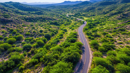 A stunning aerial view captures a winding road amid vibrant green vegetation and majestic mountains, showcasing the beauty of nature in full splendor.の素材