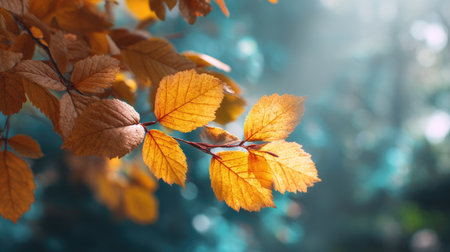 This captivating image features bright autumn leaves illuminated by soft sunlight in a tranquil forest, showcasing nature's vibrant beauty with a serene atmosphere.の素材