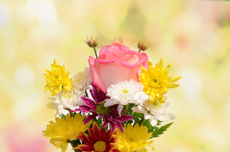Flower arrangements in decorative arts bokeh picturesの写真素材