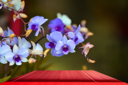 Page plank red on the backdrop of beautiful flowers for background rendering or editing products.の写真素材