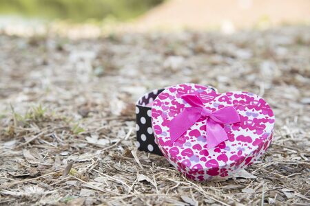 Heart-shaped gift box background nature