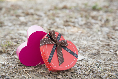 Heart-shaped gift box on the natural leaf. Background abstractの写真素材