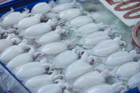 Squid seafood market in Thailandの写真素材