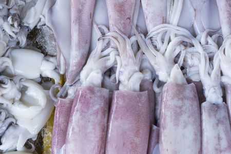 Squid seafood market in Thailandの写真素材