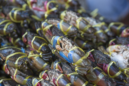 Fresh crab at the seafood market, Thailandの写真素材
