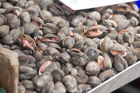 Common cockles for sale at a fish marketの写真素材