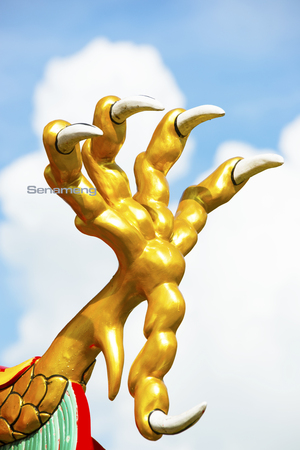 Chinese dragon image background colorful and beautiful light.の写真素材