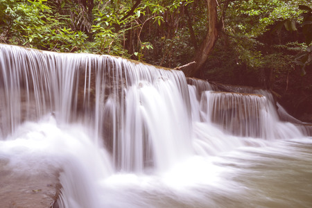 Huai Mae Kamin can be divided into seven classes Gradient backgroundの写真素材
