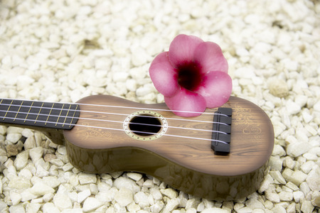 Ukulele acoustic music player placed on the stone floor.の写真素材