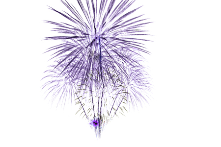 Colorful fireworks celebration and the twilight sky on white backdropの写真素材