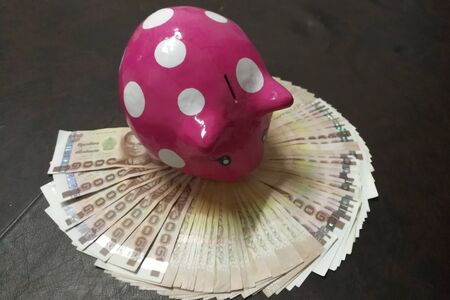 Piggy Bank lay a foundation for a better life.の写真素材