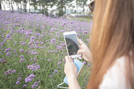 Camera on the background, views and scenery in Thailand.の写真素材
