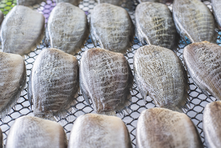 Dried Trichogaster pectoralis fish for cooking on Thaiの写真素材
