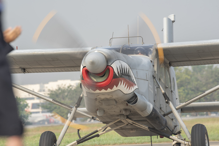 AU 23 Peach Maker or Attack Plane, Type 2のeditorial素材