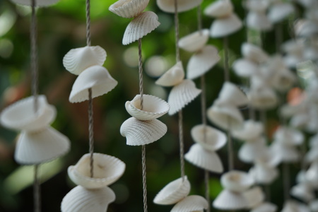 shells mobile hanging on green leaf backgroundの写真素材