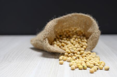 Soybean seeds are good for happiness as a herb, high protein plant.の写真素材