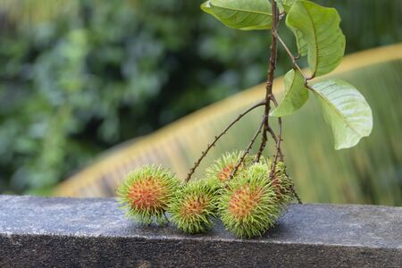 Fresh rambutan placed on a natural background