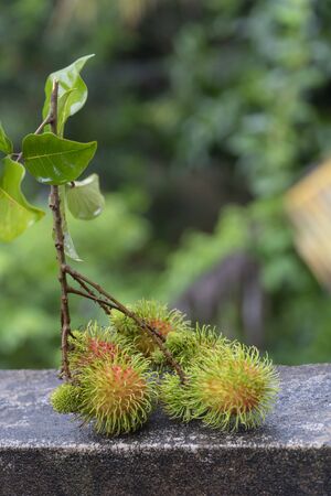 Fresh rambutan placed on a natural backgroundの写真素材