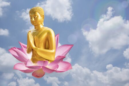 Buddha and lotus flower set as wallpaper background imageの写真素材
