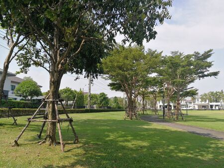 Village Project with Public Parks