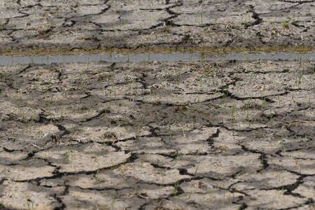 Dry dead ground Along with the heat on the natural background