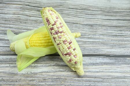 Corn on wood grain on background with copy space
