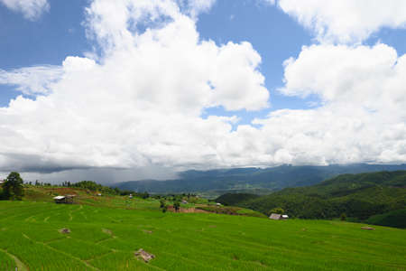 Rice fields with mountains on nature backgroundの写真素材