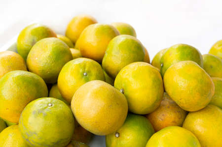 Citrus fruits that are gathered on the background of the fruitの写真素材