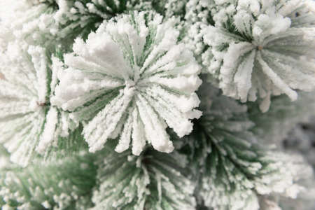 Beautiful christmas pine in the snow on natural spring backgroundの写真素材