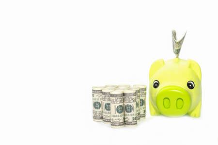 Green pig piggy bank with dollar bills on white background. Business Finance and Money concept.の写真素材